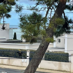 4981ce81dd15a761e0966563cb889d15