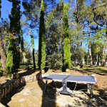 c3955c13343bcba900d030d2abad0a5b