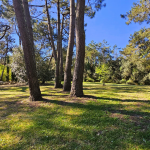 4b3ffb4467598b7191829e27fd3fe962