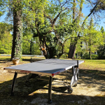 8c6f82cdd1cf904289eeed80210edc7f